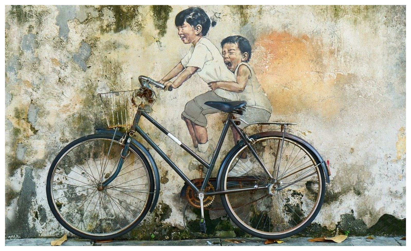 Carril bici