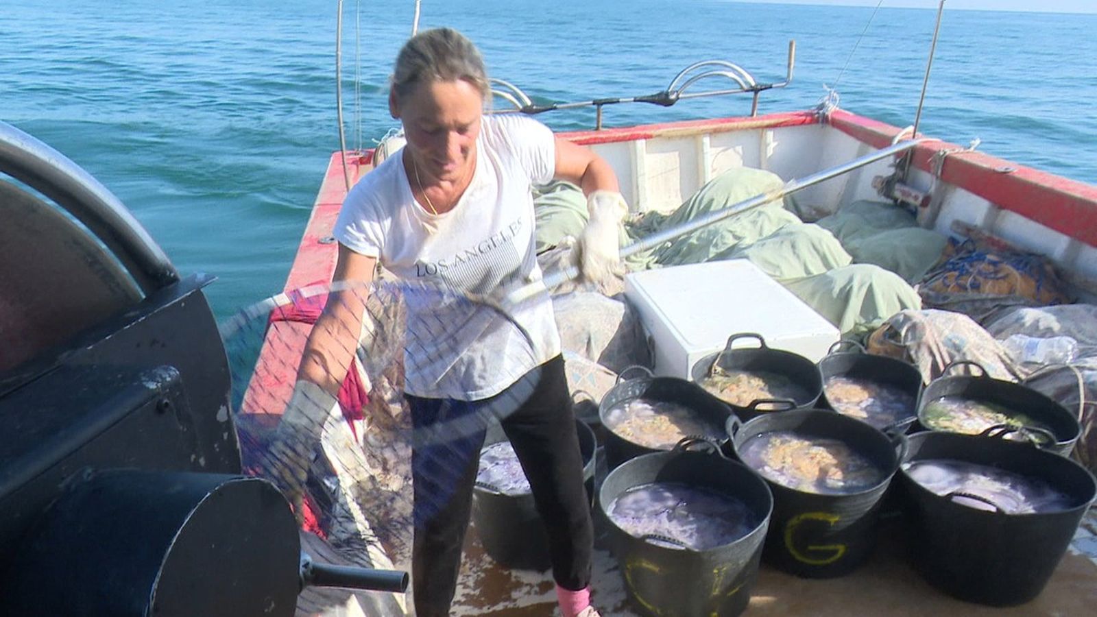 Una marinera pesca meduses al litoral de Gandia