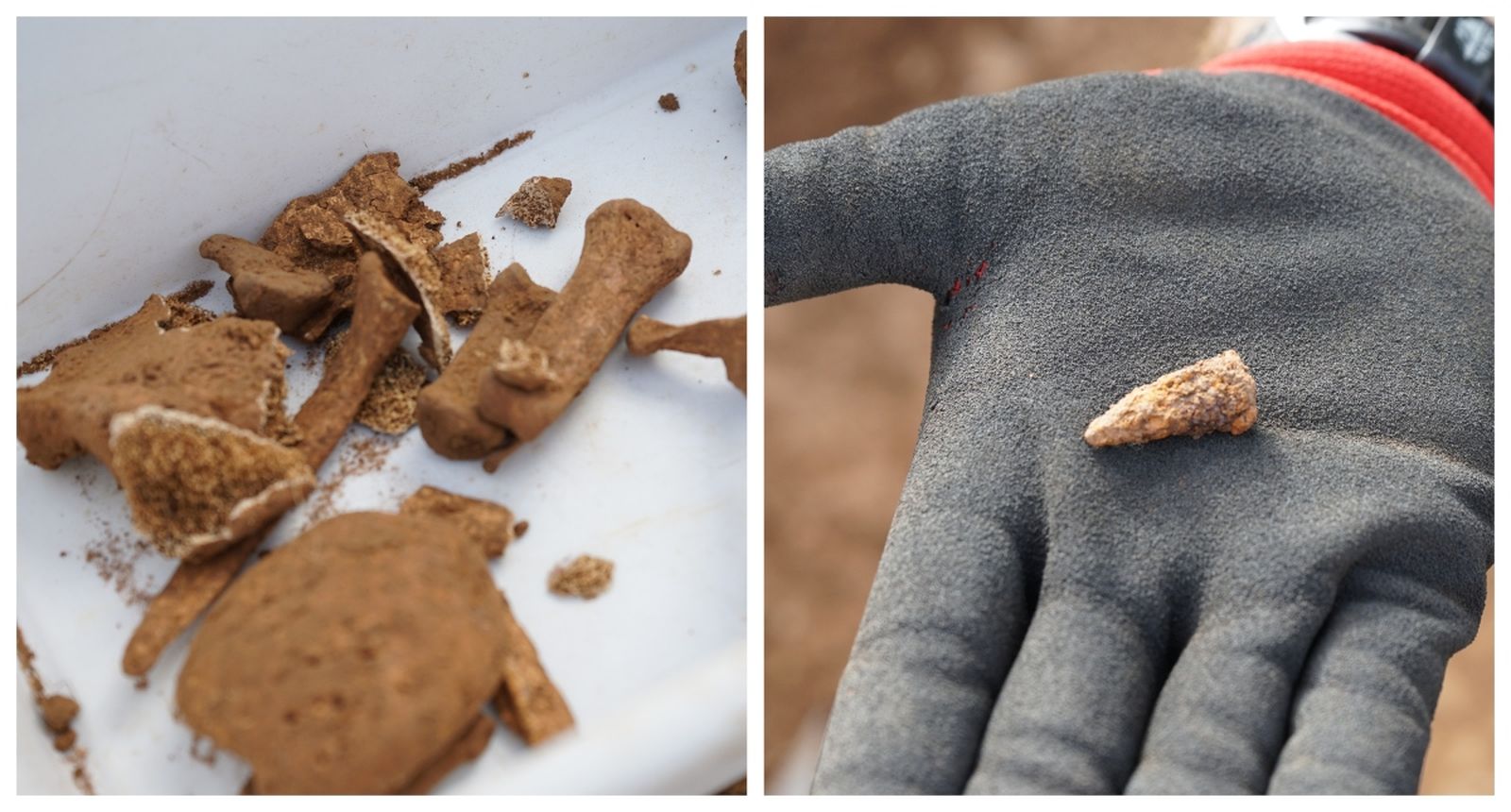 Restes òssies i projectil trobats a la fossa