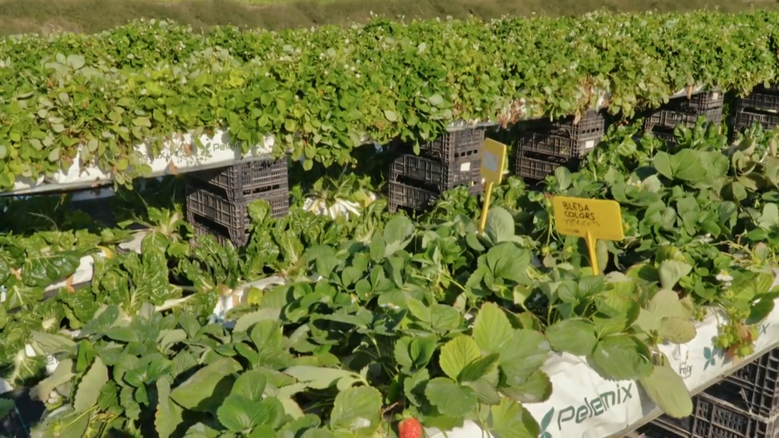 De mar i bancal | Dia tancat