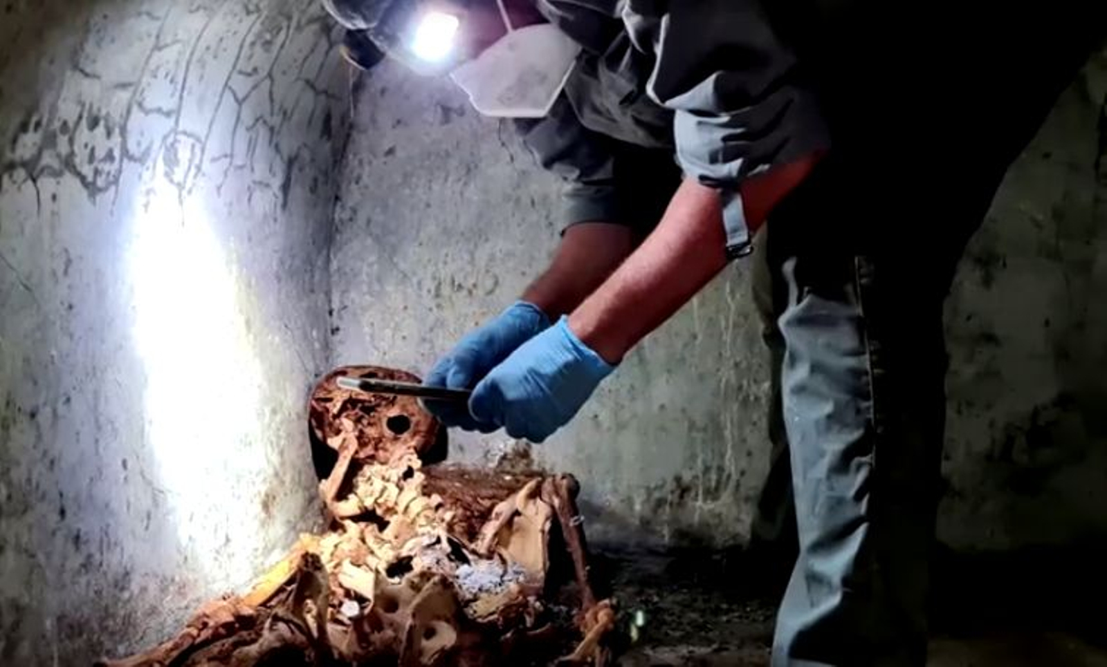 Troballa de la momia