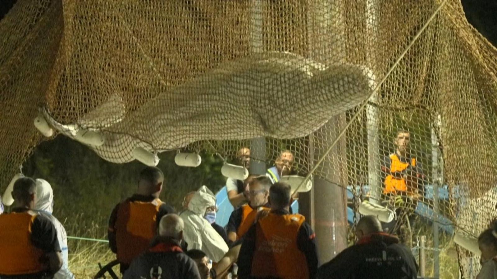 Rescat beluga Sena