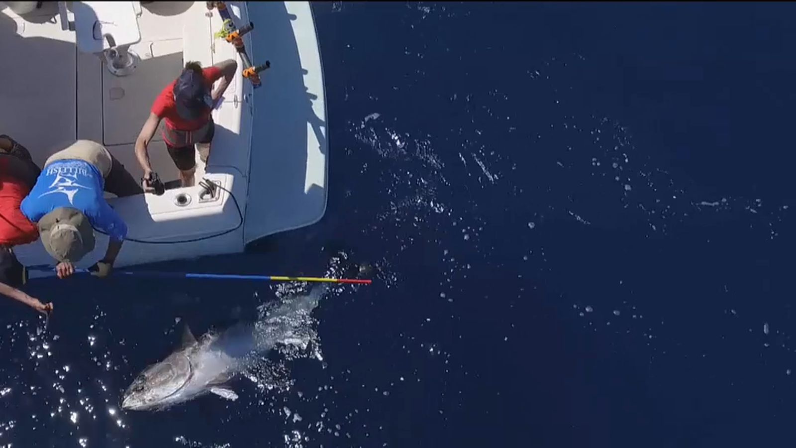 La ciutadania espanyola, la que té un major nivell de mercuri en l’organisme d’Europa