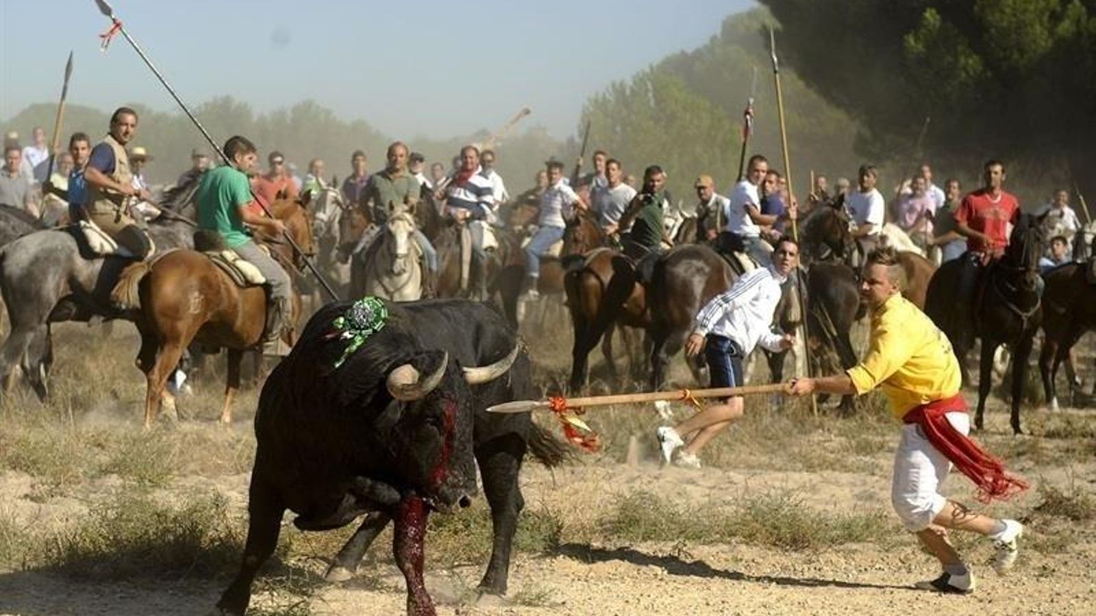 Un fester ataca amb una llança el bou, durant la celebració de la Vega en una imatge d'arxiu EuropaPress 2007091 foto toro vega