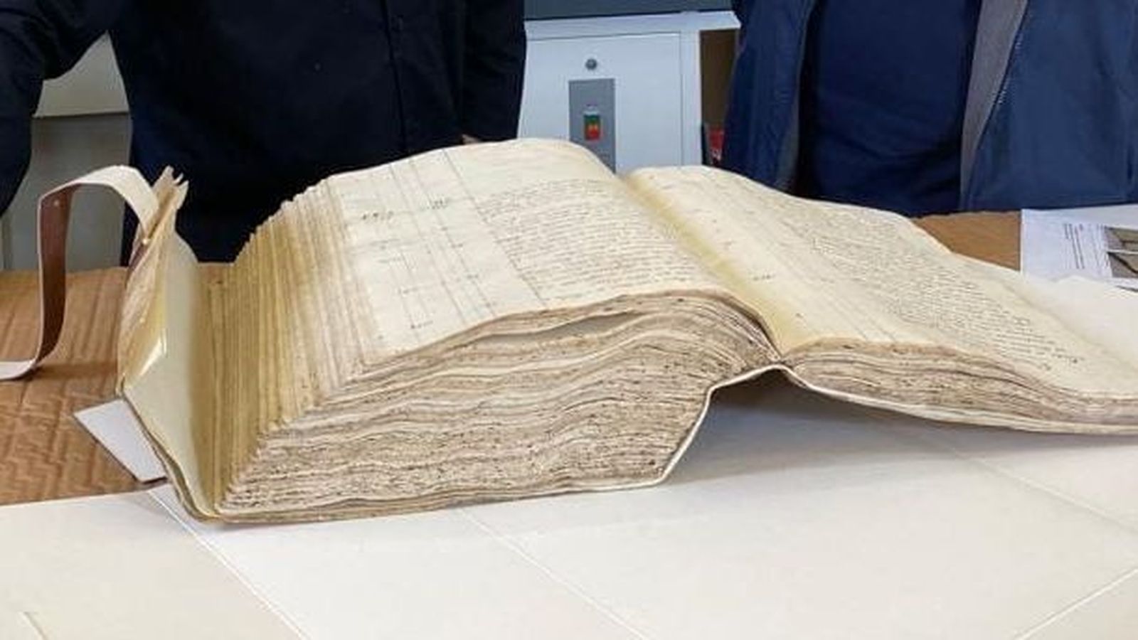 Un exemplar restaurat a l'Institut Valencià de Conservació (arxiu)