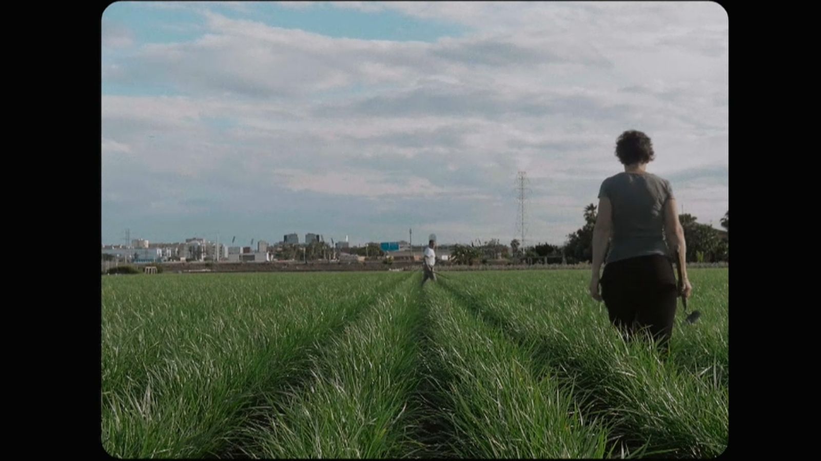 'Camagroga', un retrat de l'horta d'Alboraia i d'una manera de viure