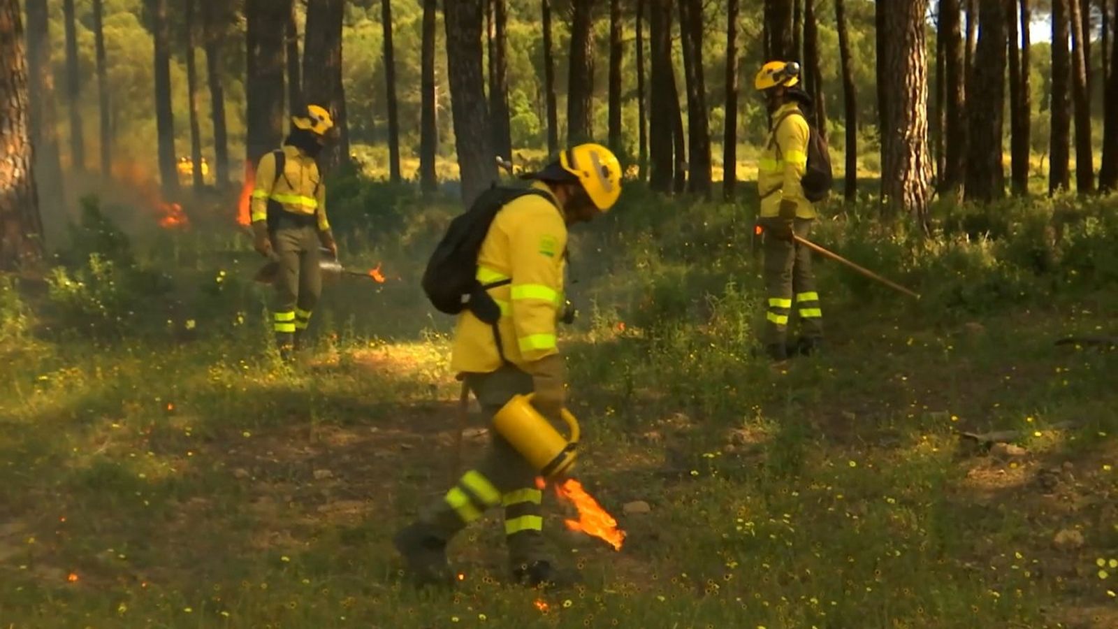 Estratègies de foc tècnic per a evitar que el foc arribe a zona verda