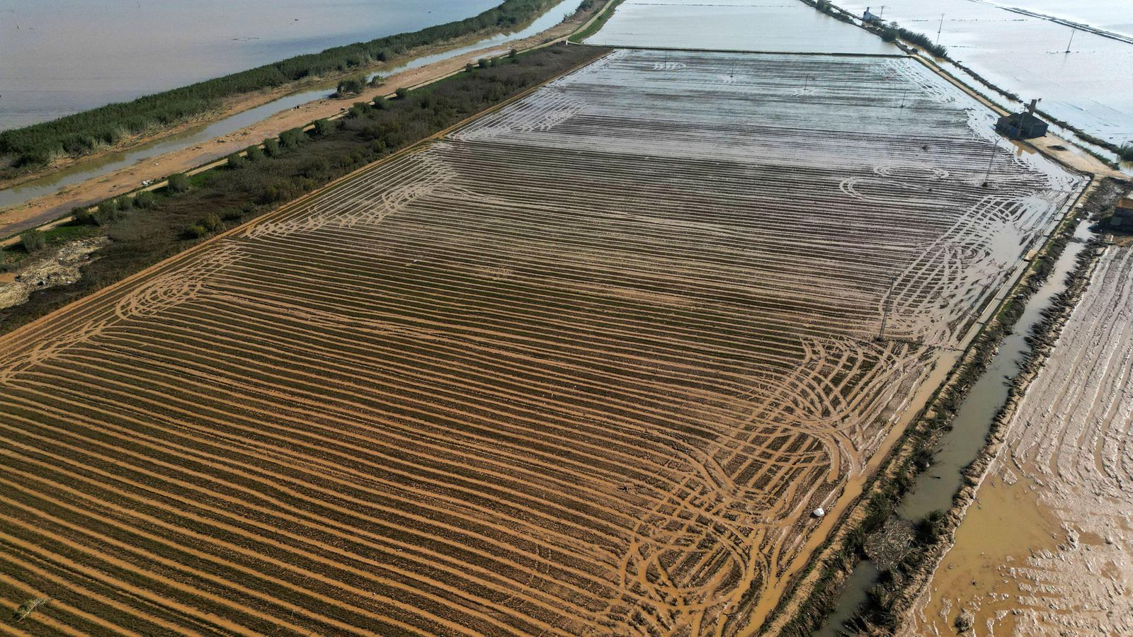 Imatge d'arxiu de la vista aèria de l'Albufera