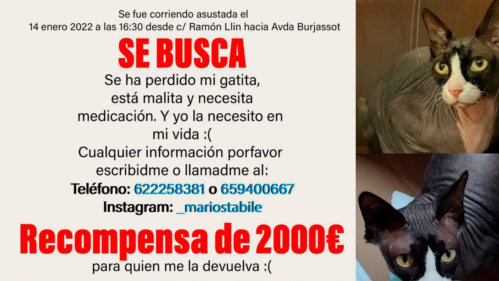 Missatge compartit a través de les xarxes socials