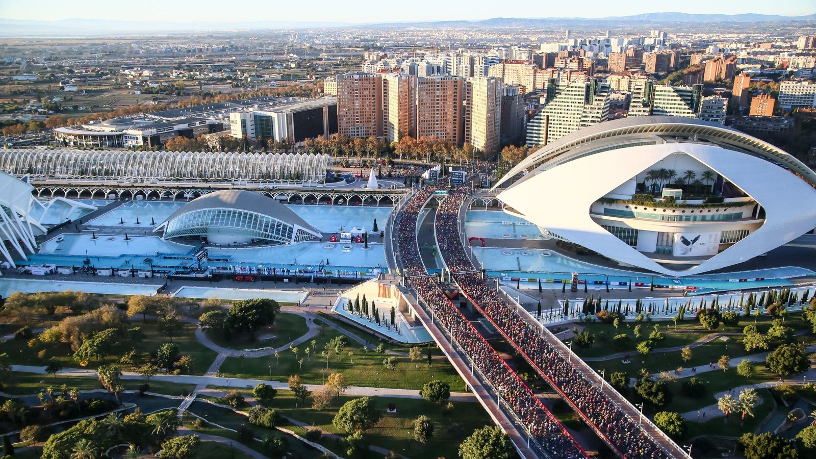 Imatge de l'última marató celebrada en 2023