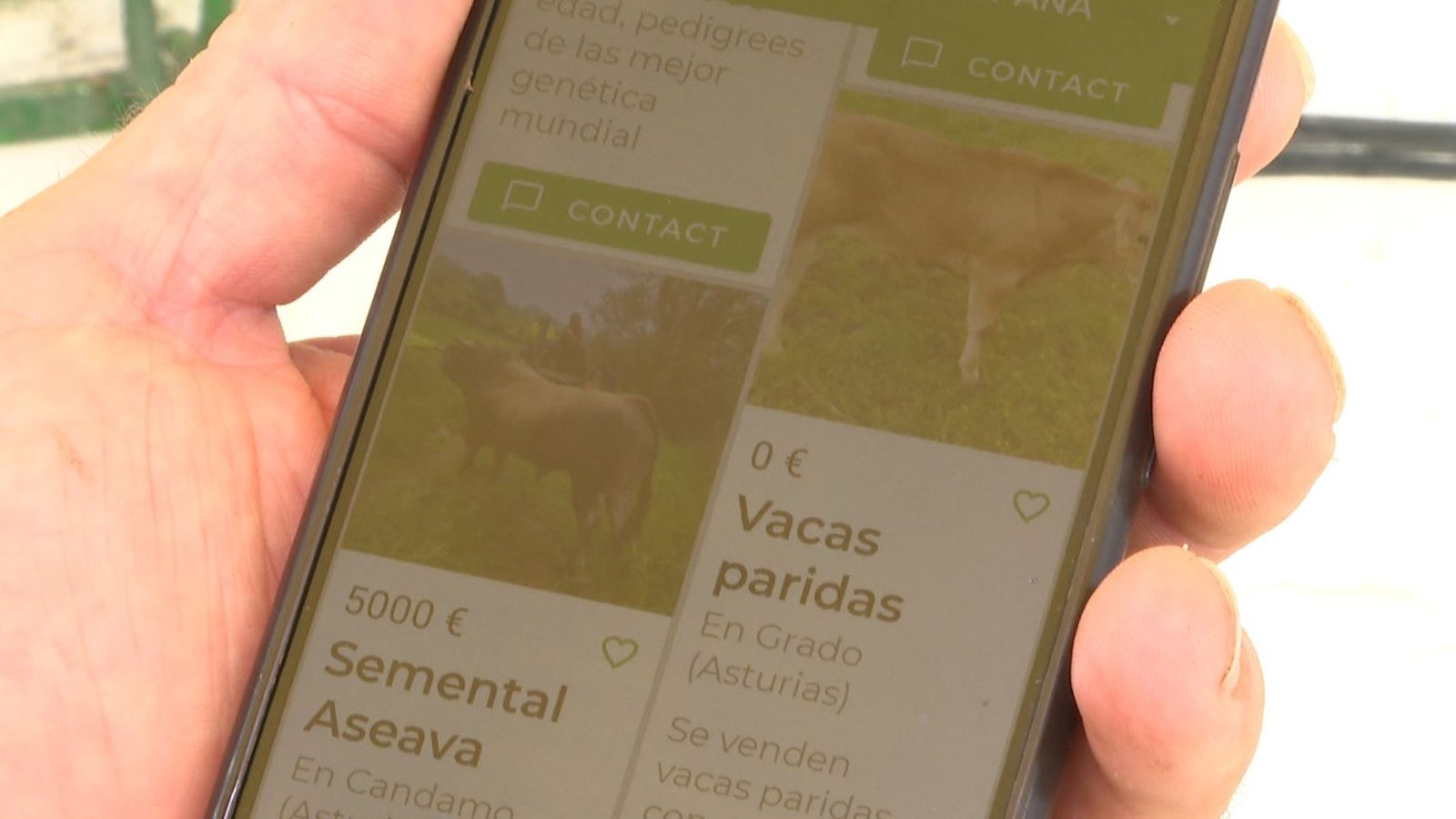 Aplicació mòbil per a comprar ramat