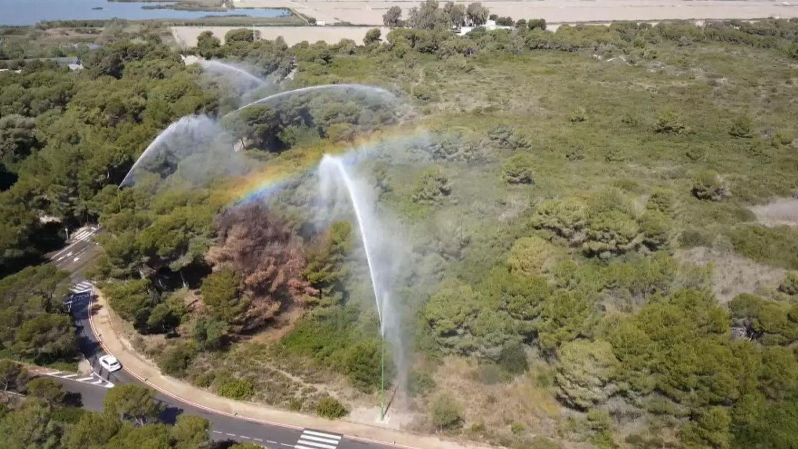 Els canons d'aigua de la Devesa del Saler (València)