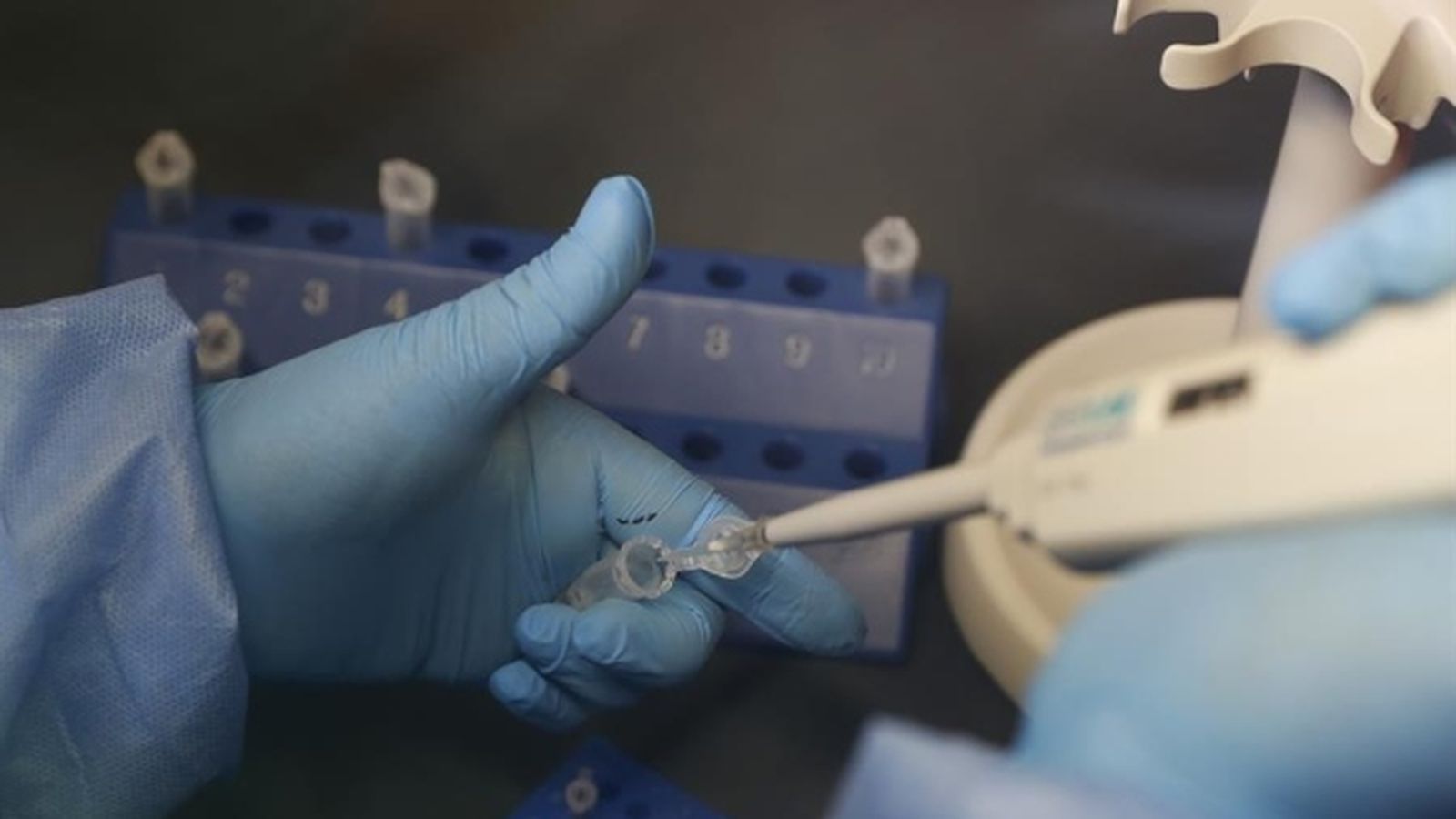 Imatge d'arxiu d'un tècnic de laboratori