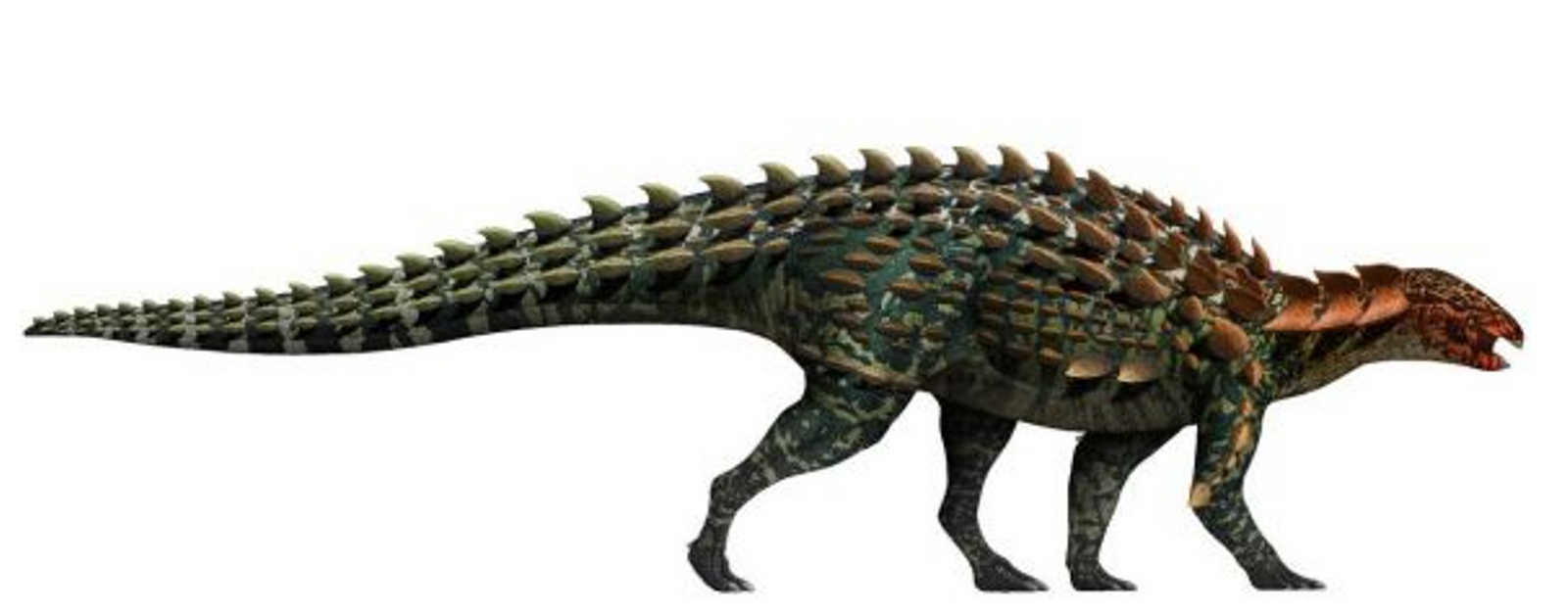 Recreació del 'Yuxisaurus kopchicki'