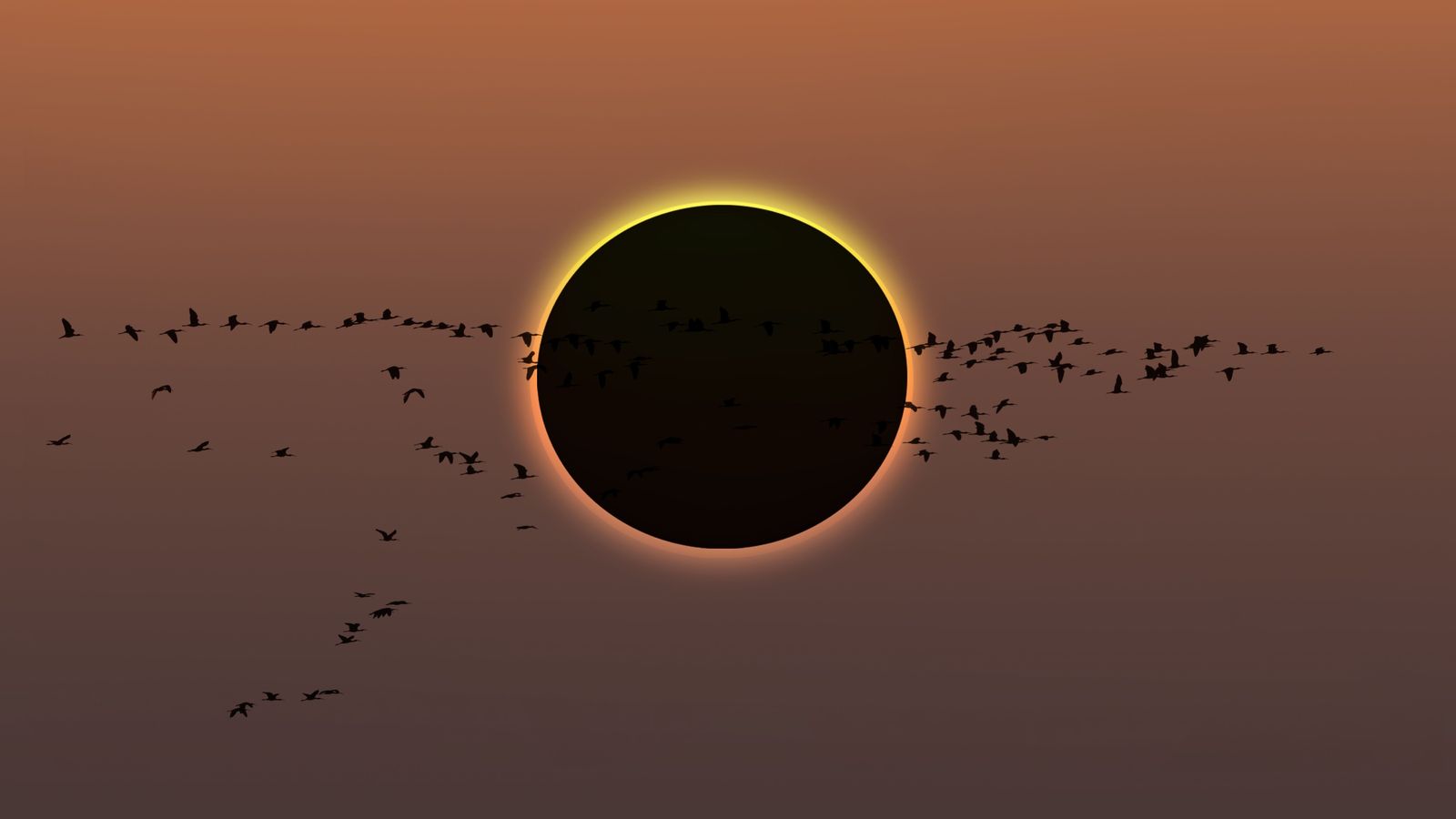 Imatge d'arxiu d'un eclipse