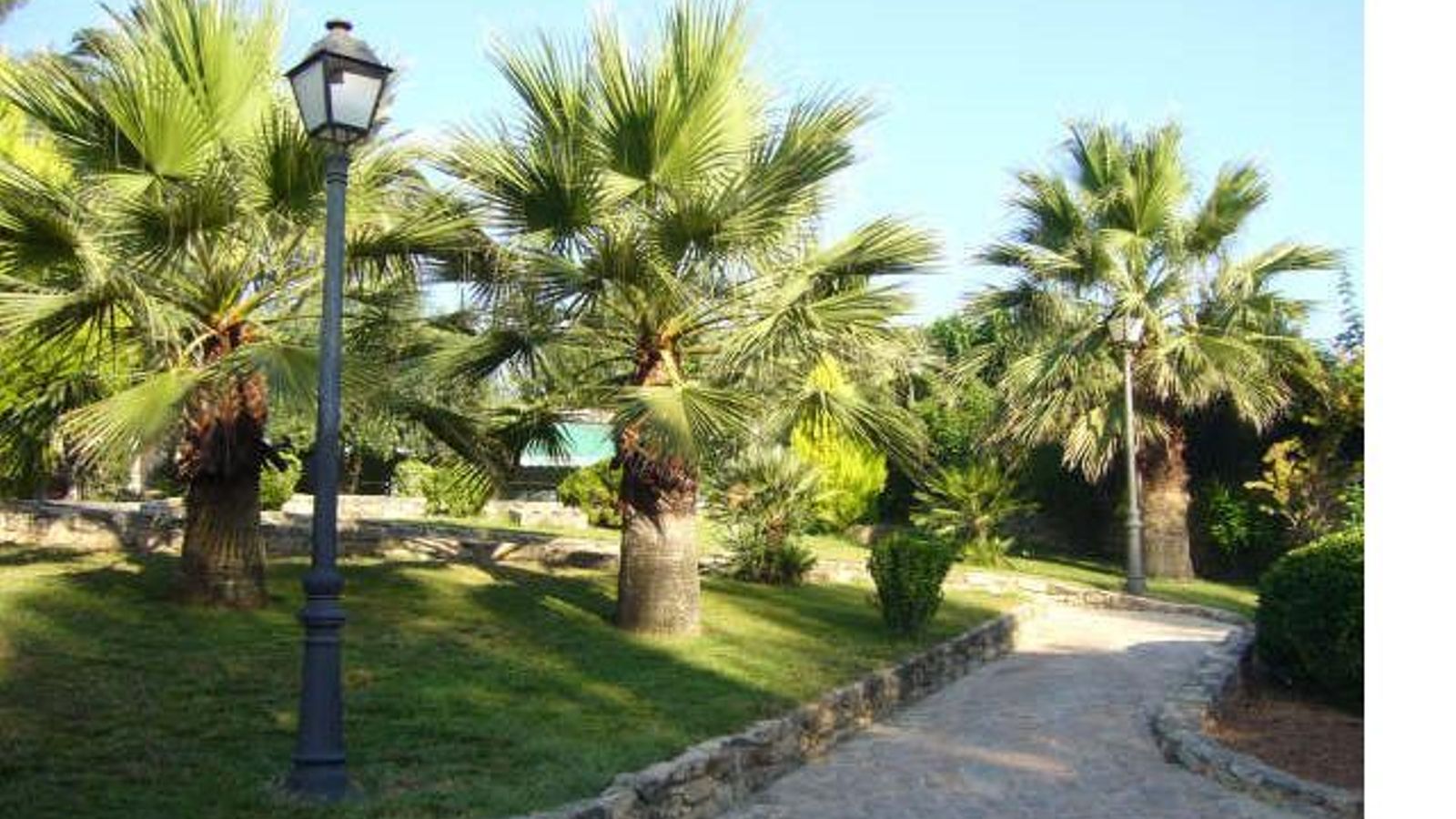 Imatge de la població de Benigànim