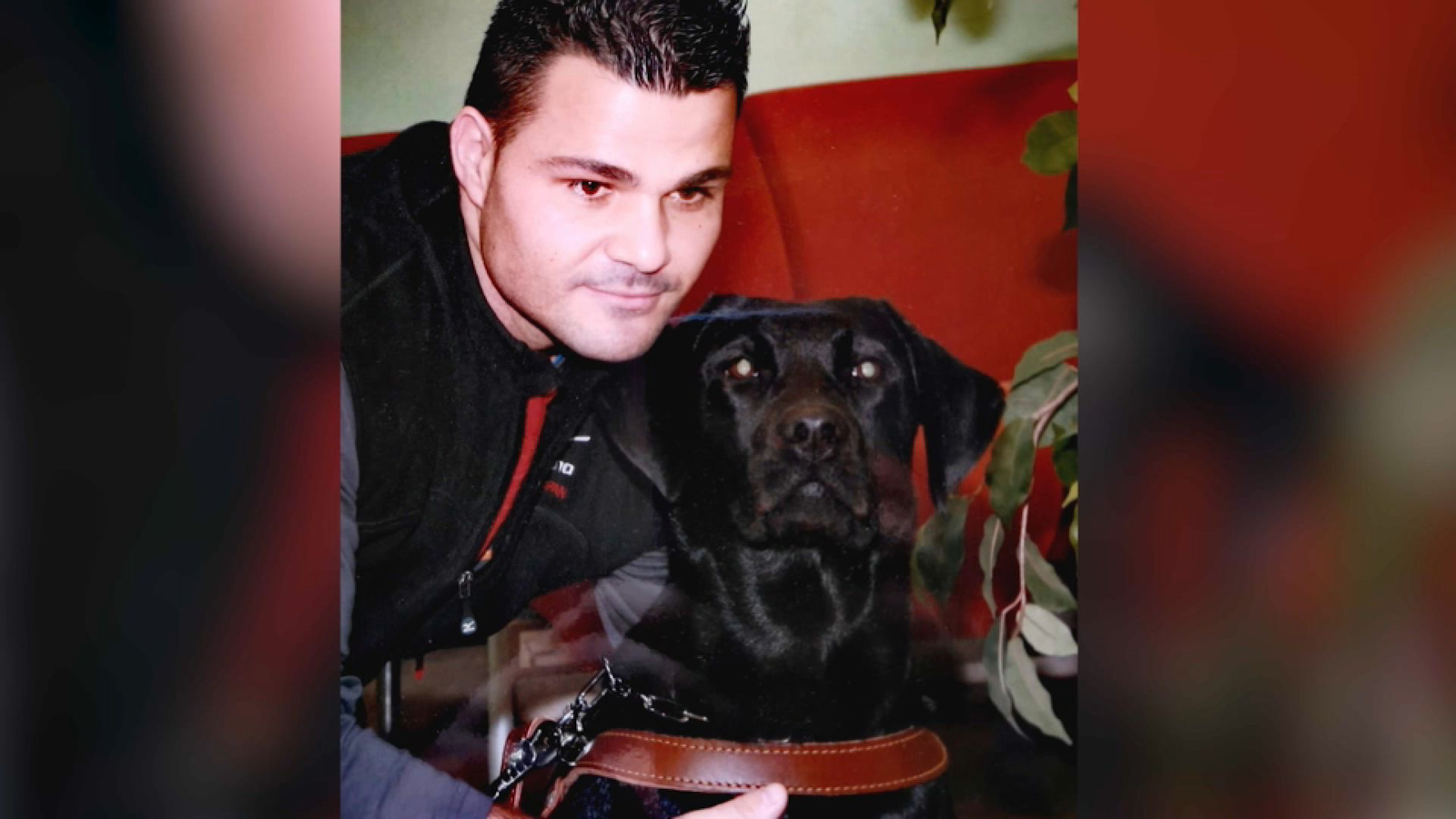 Ximena, la primera gossa guia de David Casinos