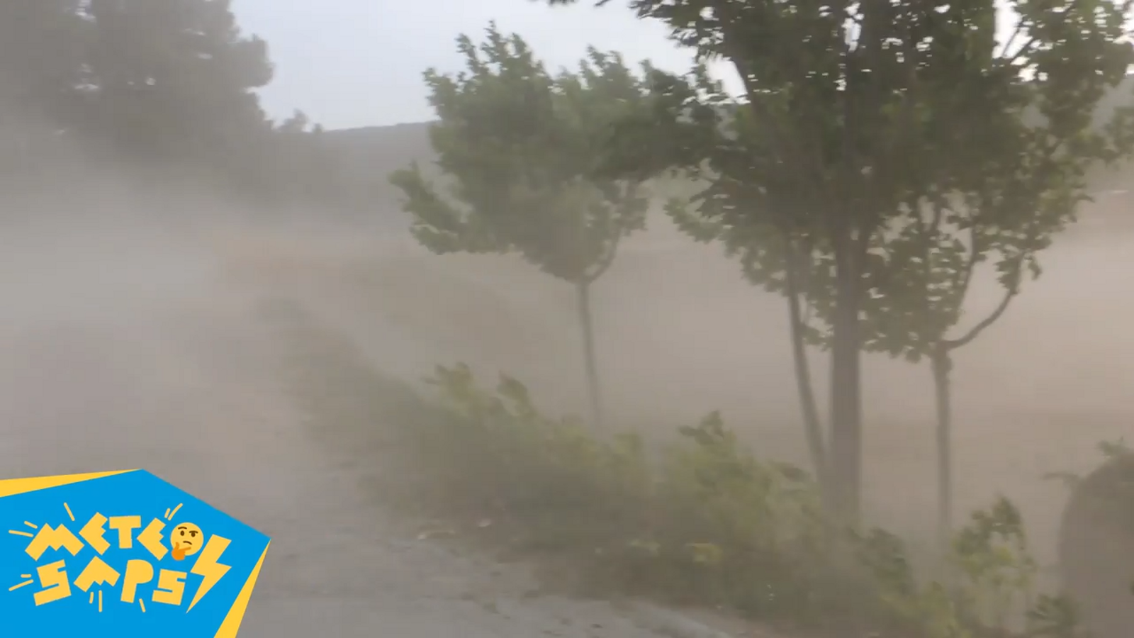 Què és un esclafit?