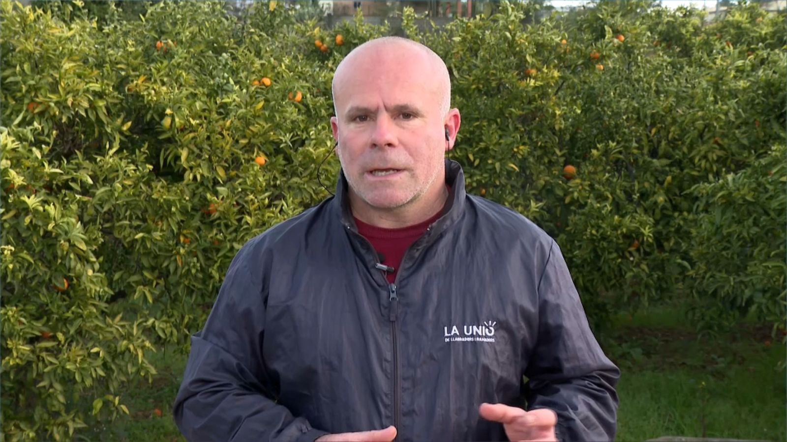 El secretari general de la Unió Llauradora i Ramadera, Carles Peris, en 'Les notícicies del matí'