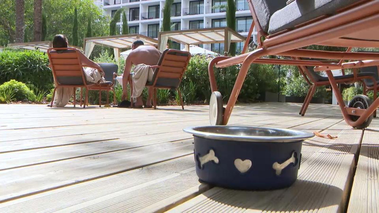 Els hotels han de confirmar si admeten mascotes amb la nova llei de benestar animal