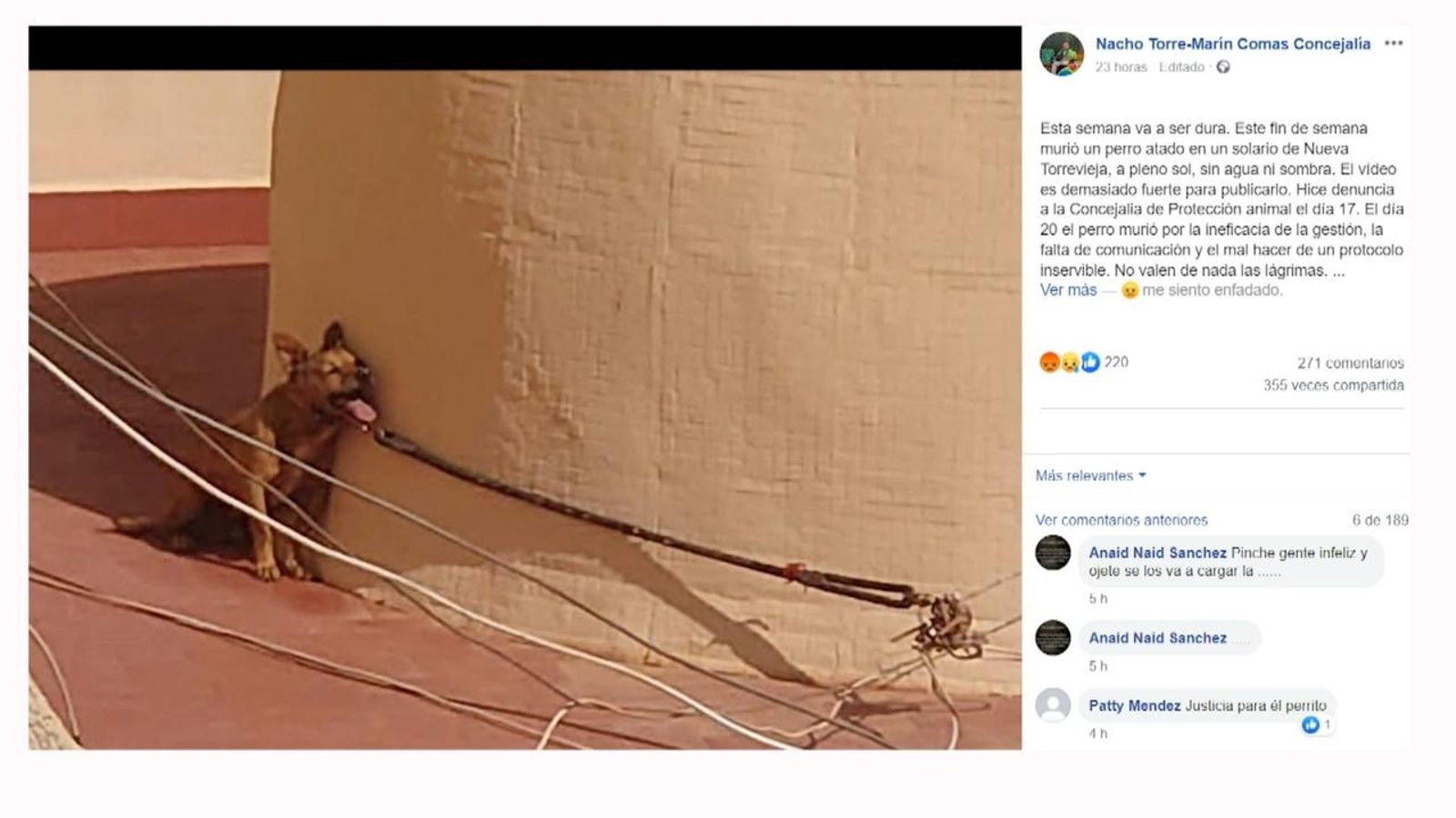 Els gos va estar durant dies privat d'ombra, menjar i aigua, fins que finalment va morir