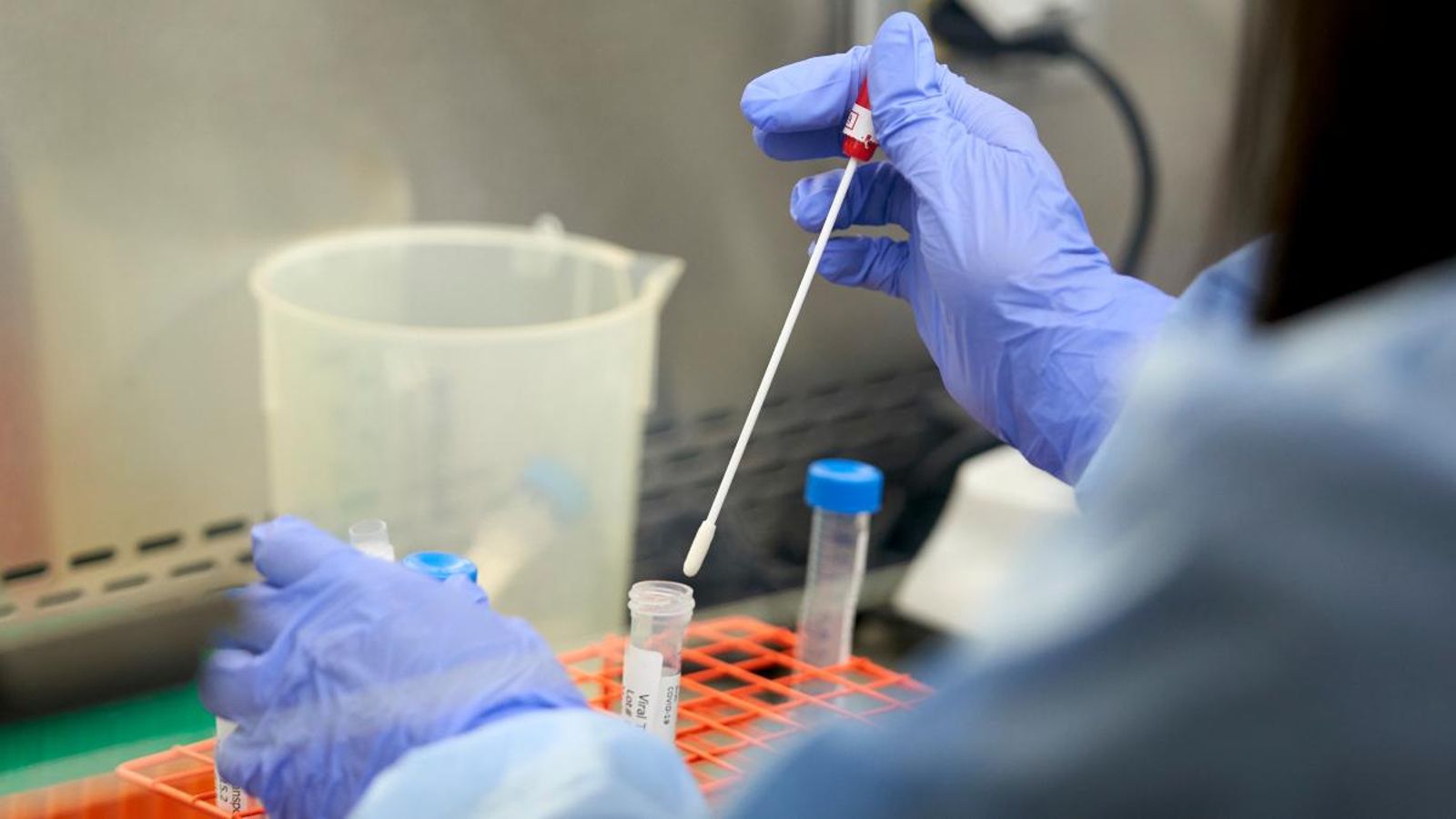 Un laboratori a Dallas analitza un escovilló nasal