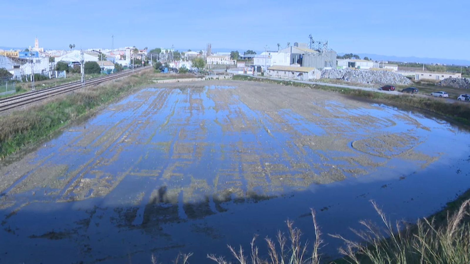 Medi Ambient confirma que no hi ha perill a l'Albufera per l'incendi de Sollana Medi Ambient confirma que no hi ha perill a l\'Albufera per l\'incendi de Sollana