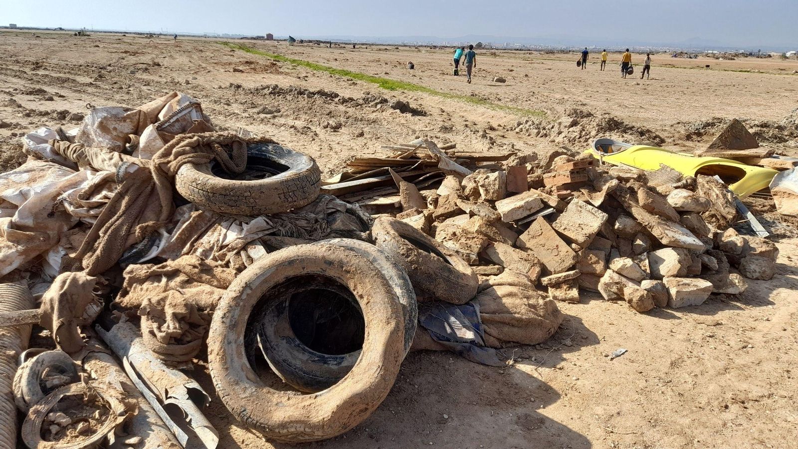 Un dels muntons de residus que han extret de l'Albufera els voluntaris de SEO Birdlife que han participat en les tasques de neteja