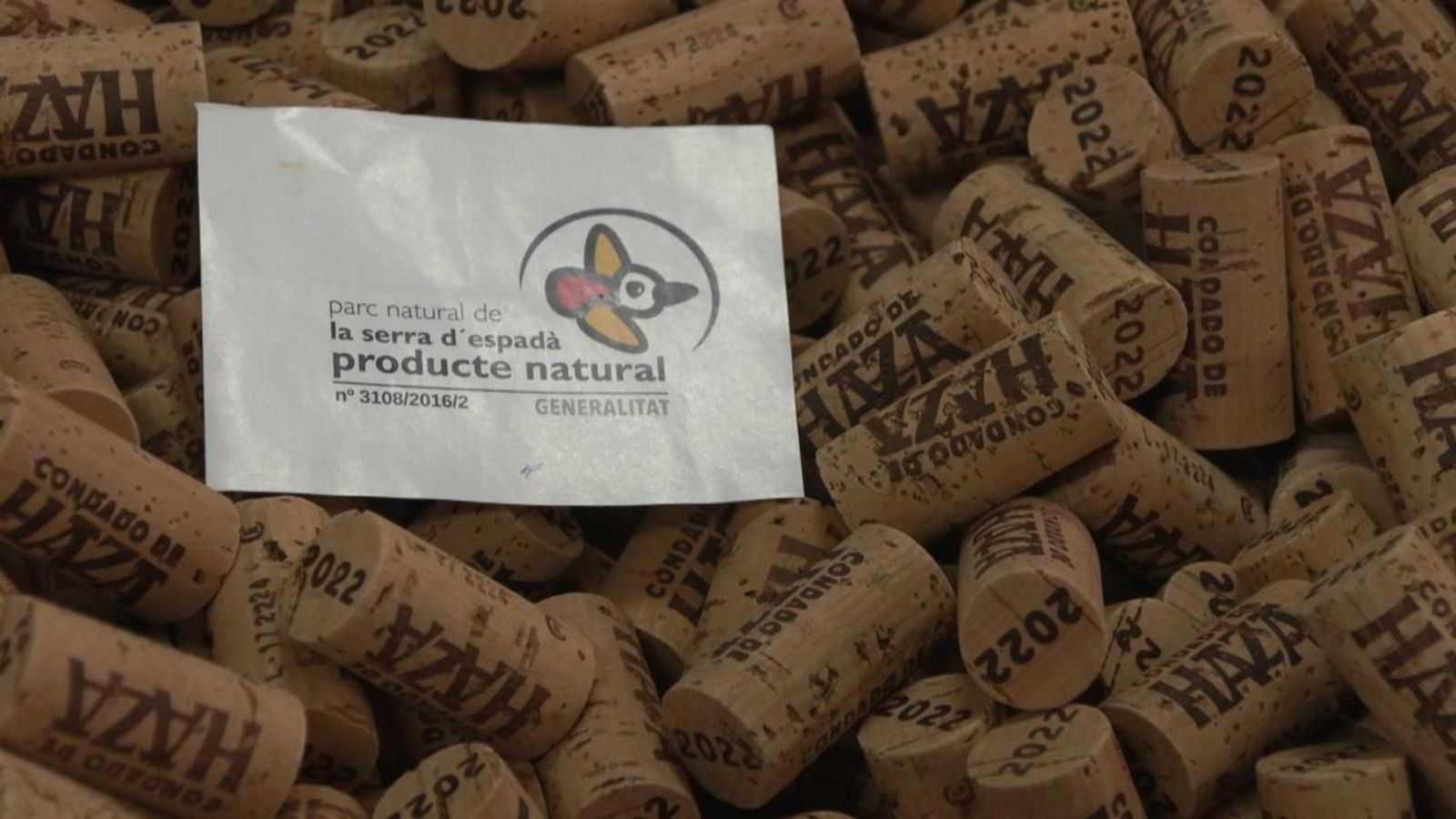 Taps de suro fets amb sureres valencianes