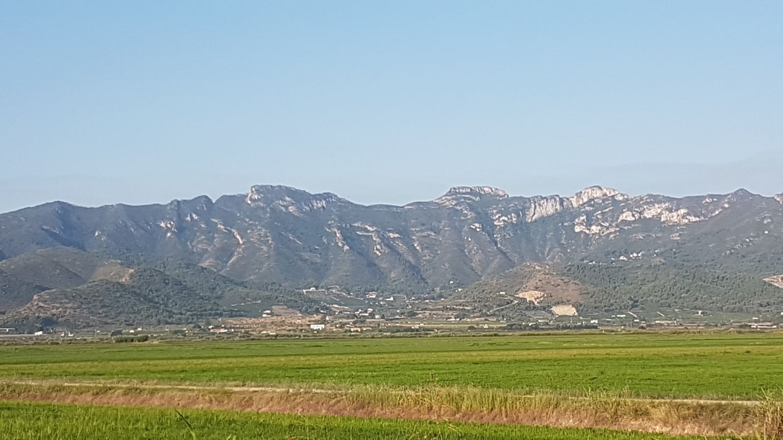 6.LLAURÍ, LA RIBERA BAIXA, JUAN JOSÉ RUBIO.jpg