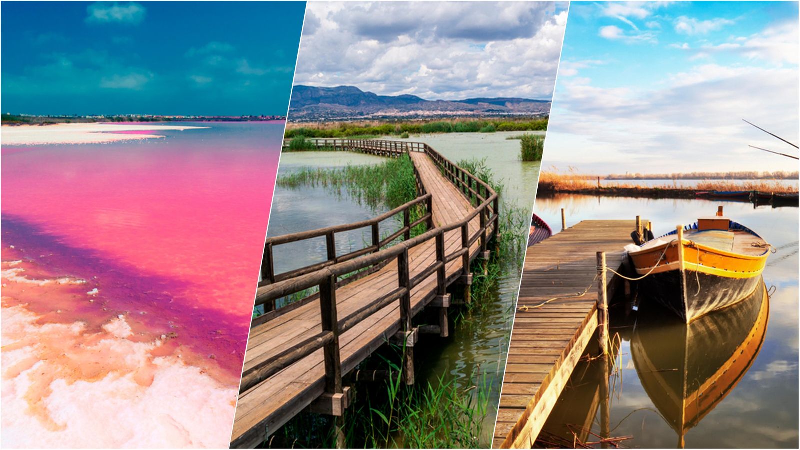 Dia Europeu dels Parcs Naturals