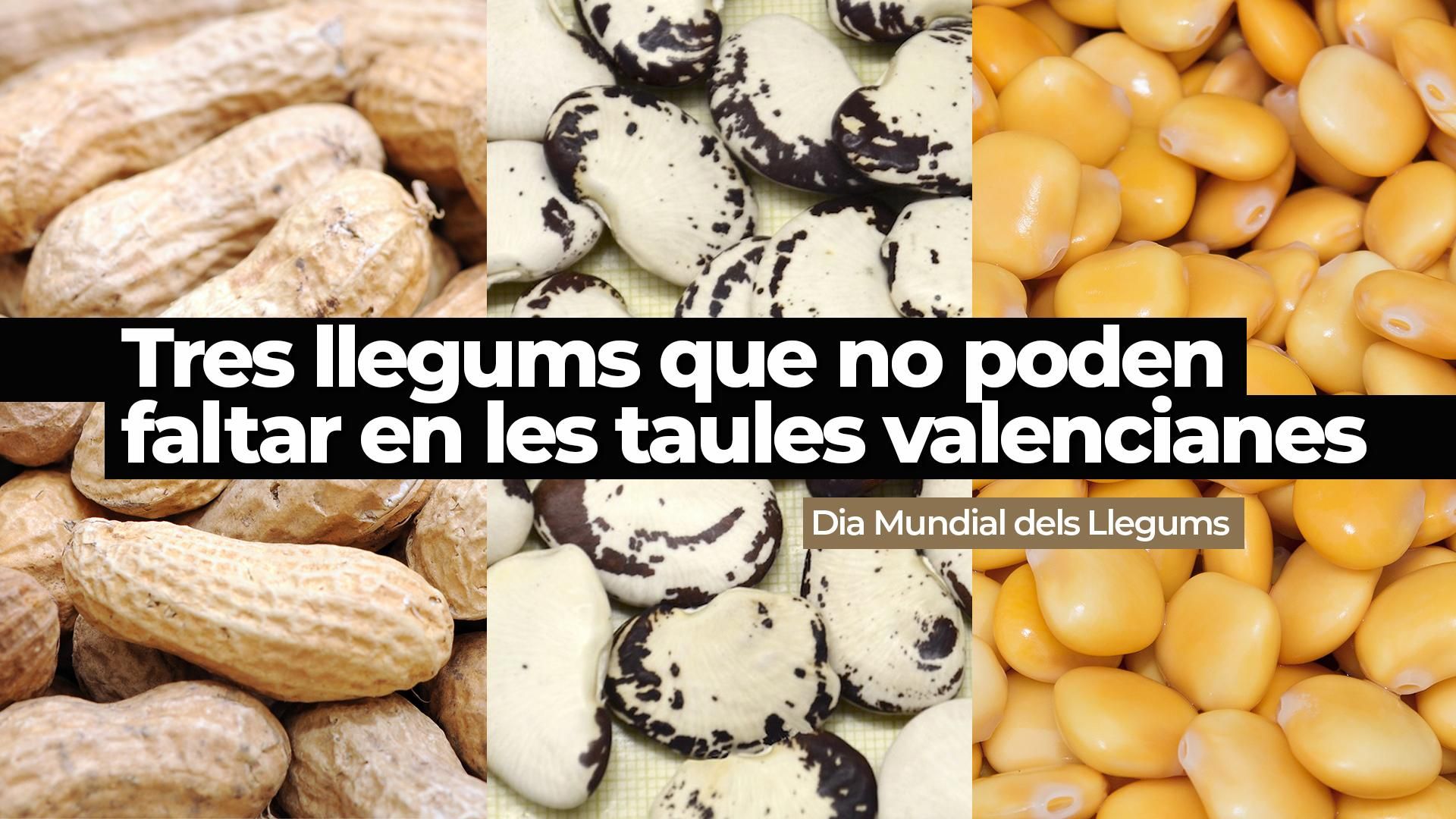 Tres llegums que no poden faltar en les taules valencianes