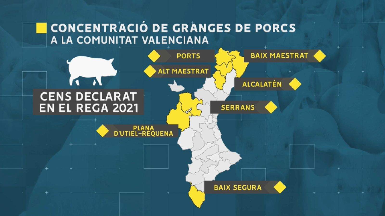 Concentració de granges de porcs a la Comunitat Valenciana