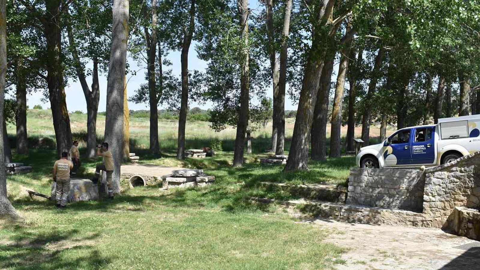 En imatge, efectius de les brigades forestals de Divalterra