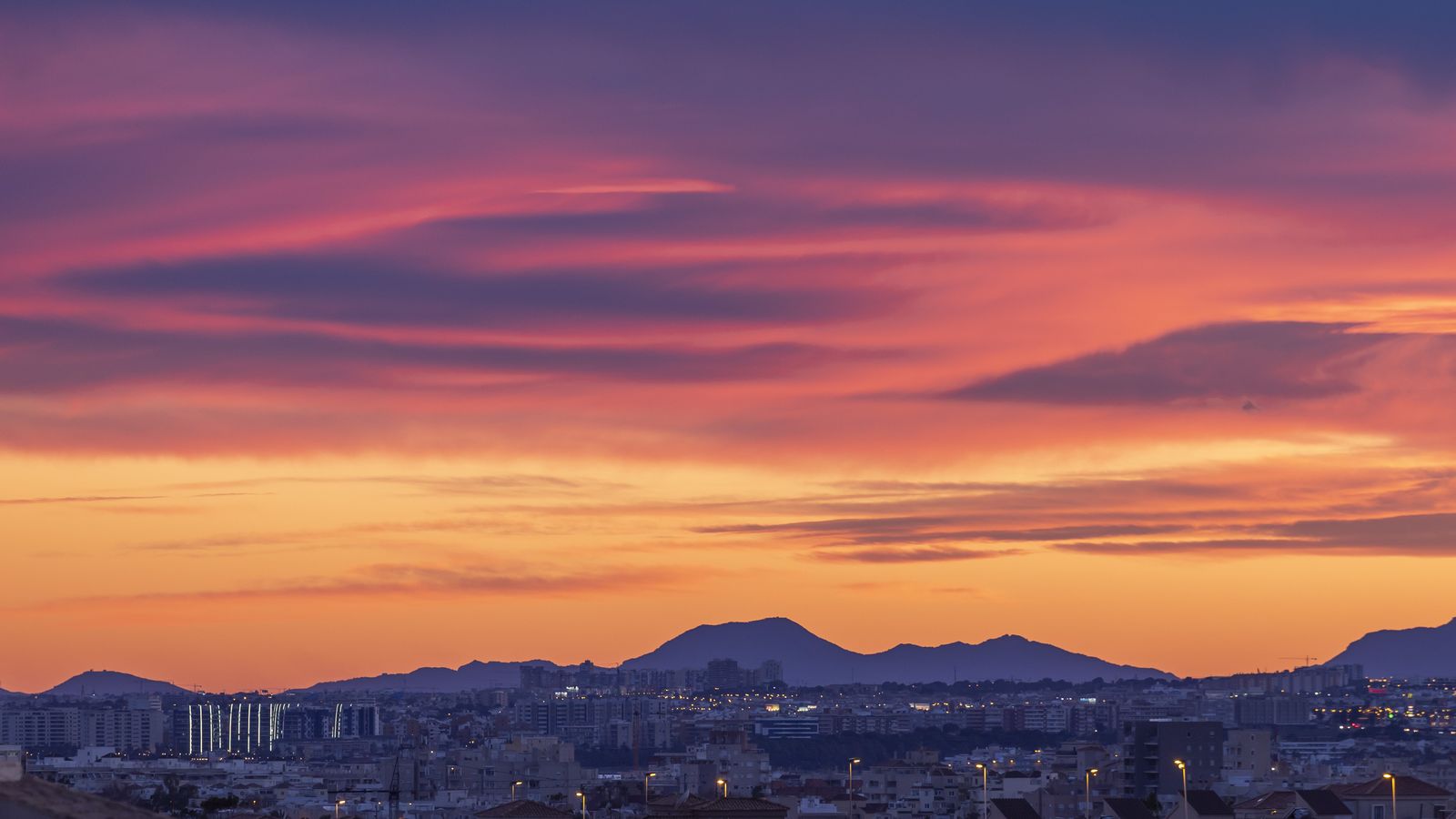 joaquin carrion torreveija