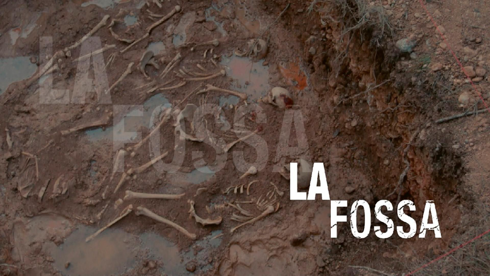 Logo La fossa