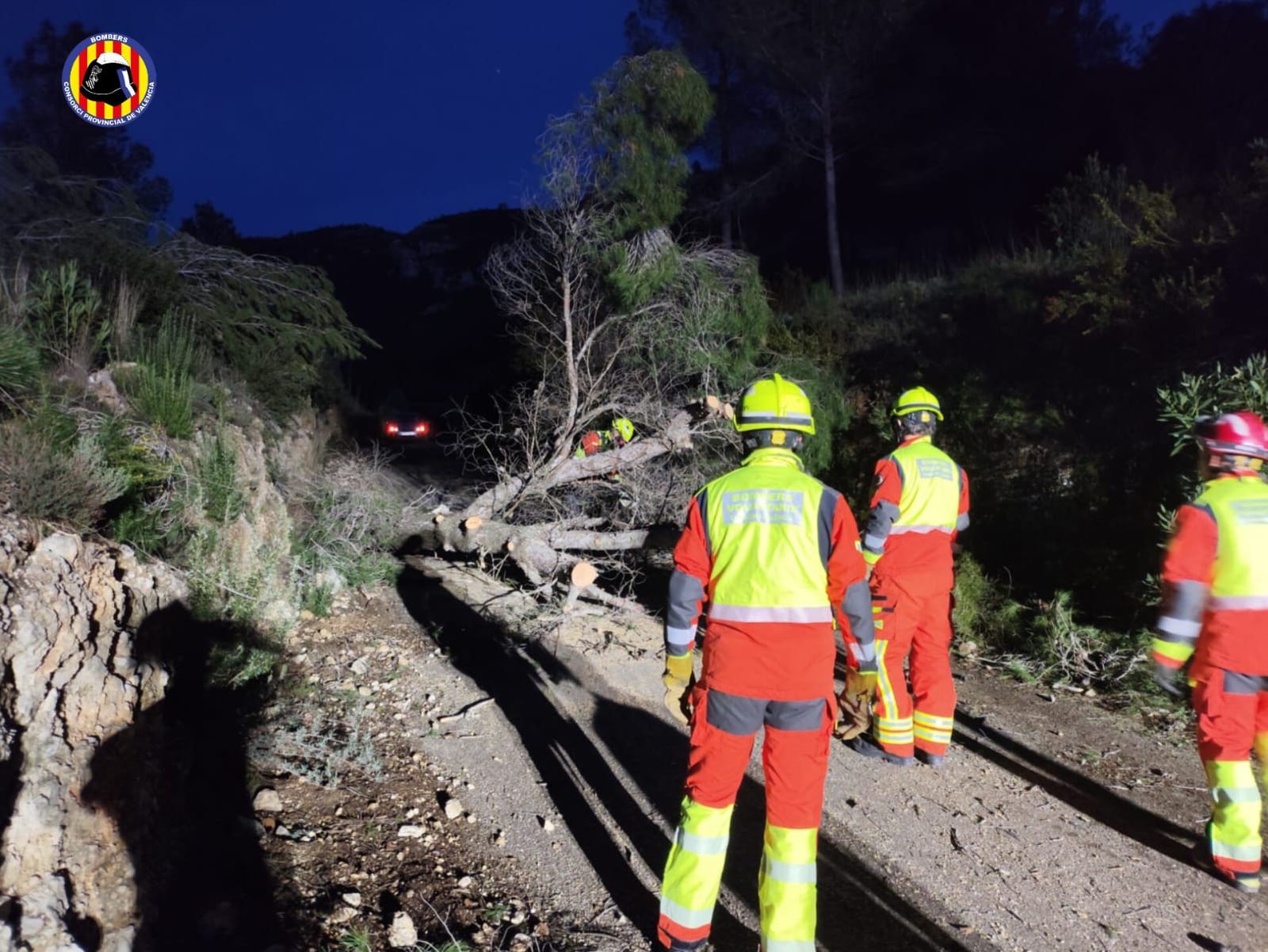 La caiguda d'arbres ha sigut una de les incidències per vent més freqüents ateses durant la nit de divendres pels bobmers d'Alacant