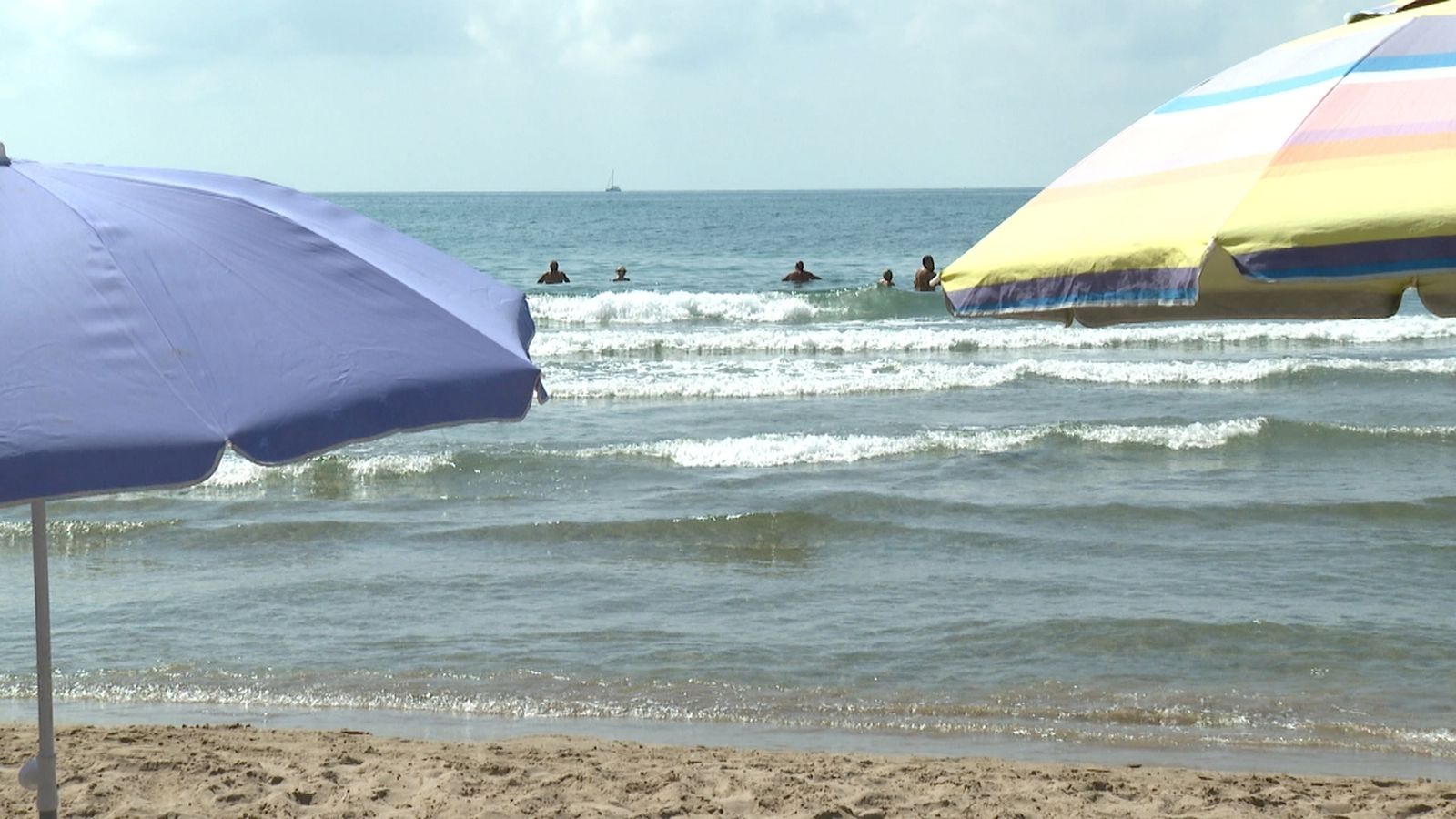 Banyistes a la platja nudista de Bellver