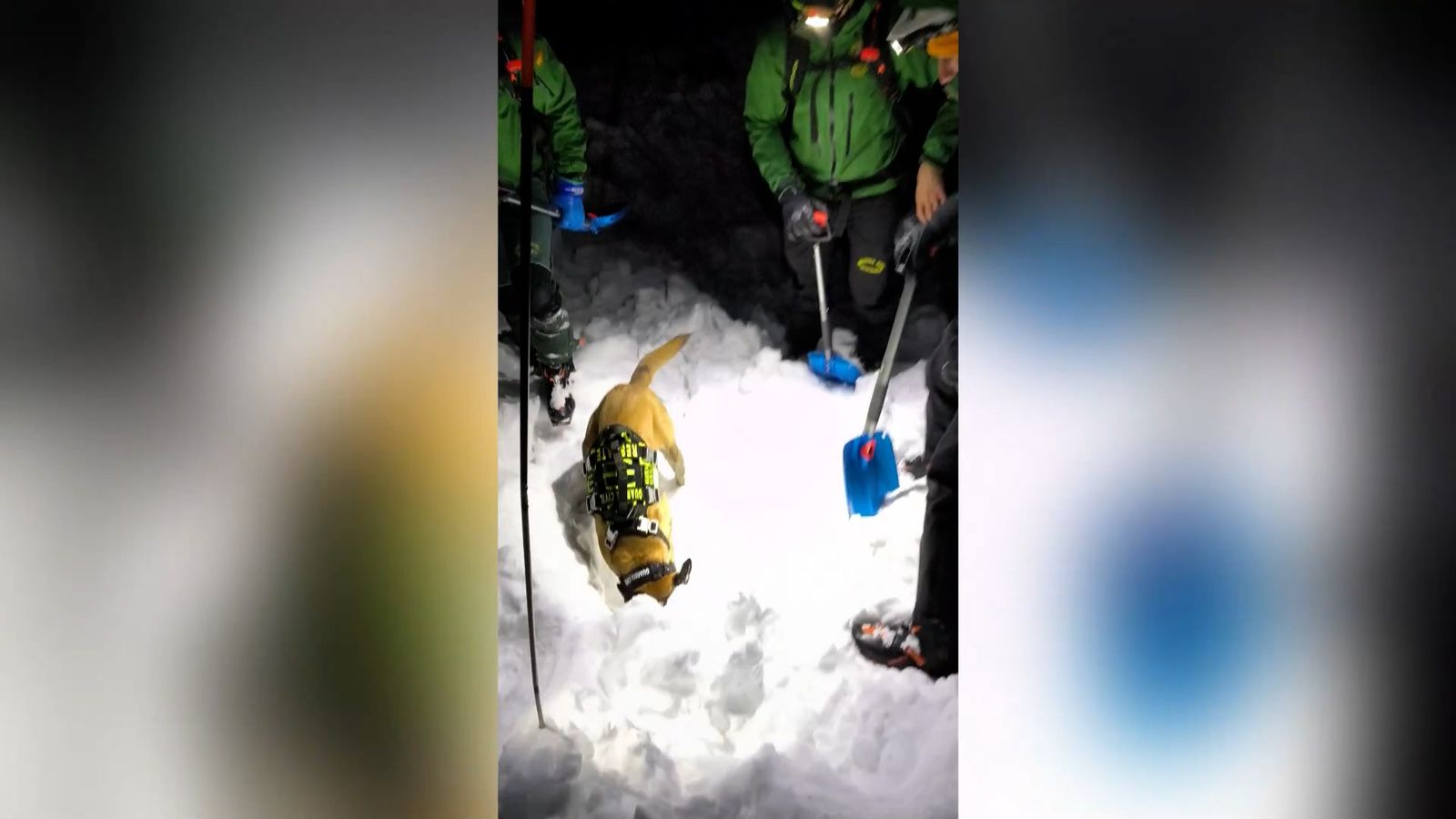 Efectius de muntanya de la Guàrdia Civil de Boltaña i Jaca treballen en el dispositiu de recerca d'un muntanyenc atrapat per una allau a Osca