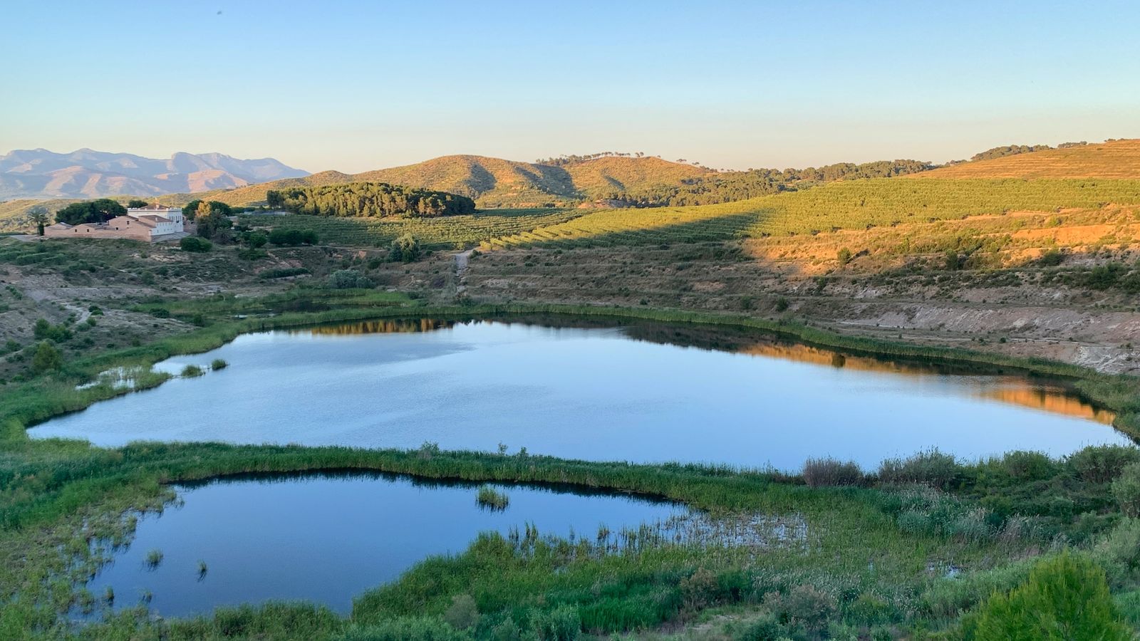 LAGUNA DEL GABACHO, SORGORB / SEGORBE