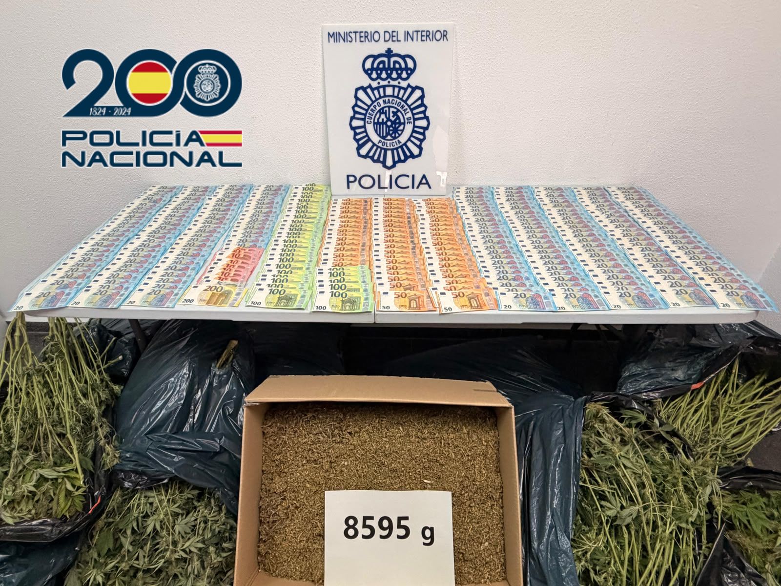 La Policia desmantella una plantació de marihuana en un habitatge d’Elda