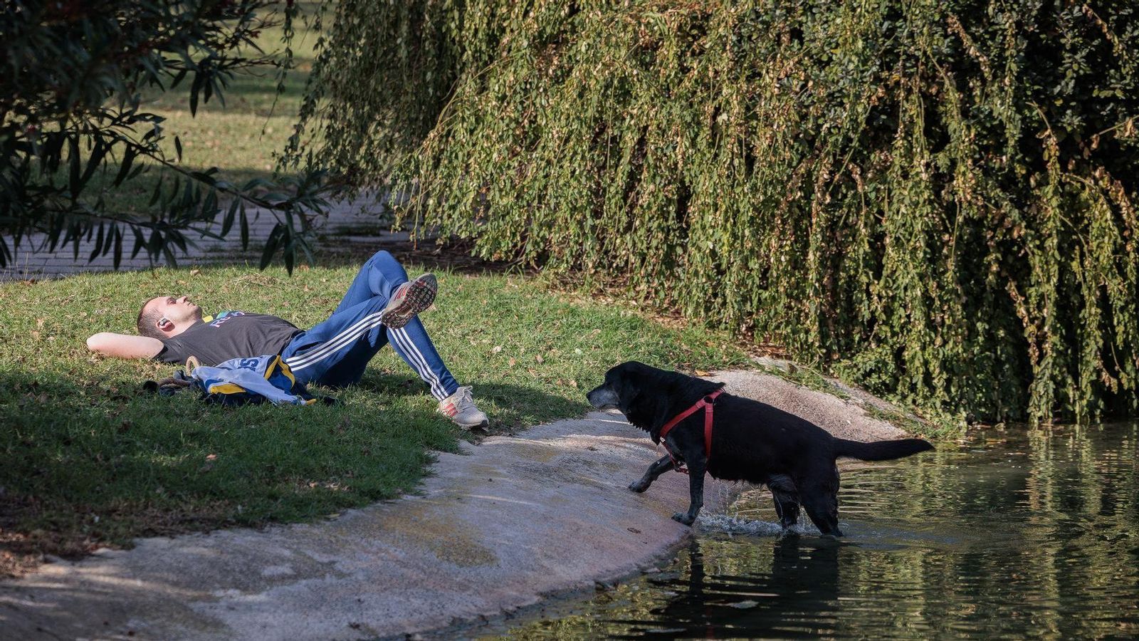 Les altes temperatures despuntaran dilluns i dimarts