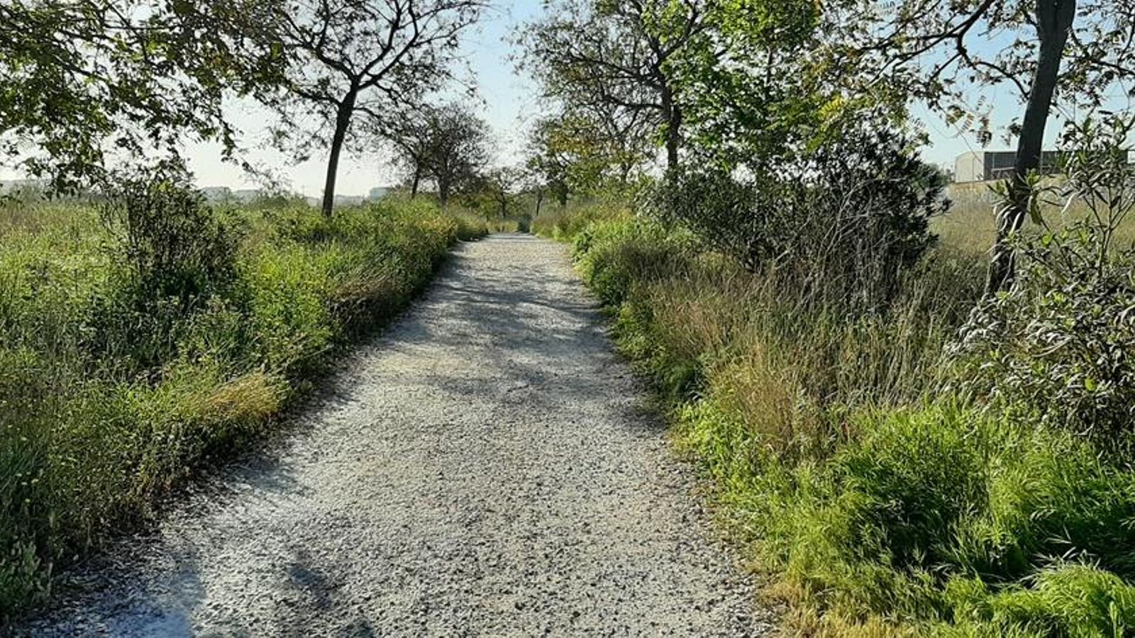 Imatge d'una part del llit natural del Túria