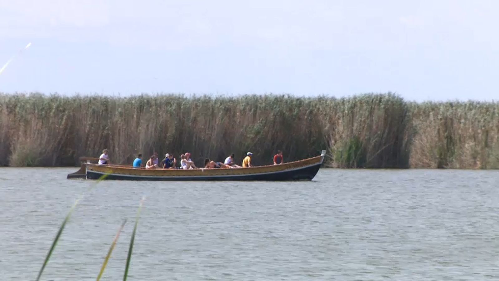 L\'Albufera registra un 50% més de visites en el primer semestre de 2019