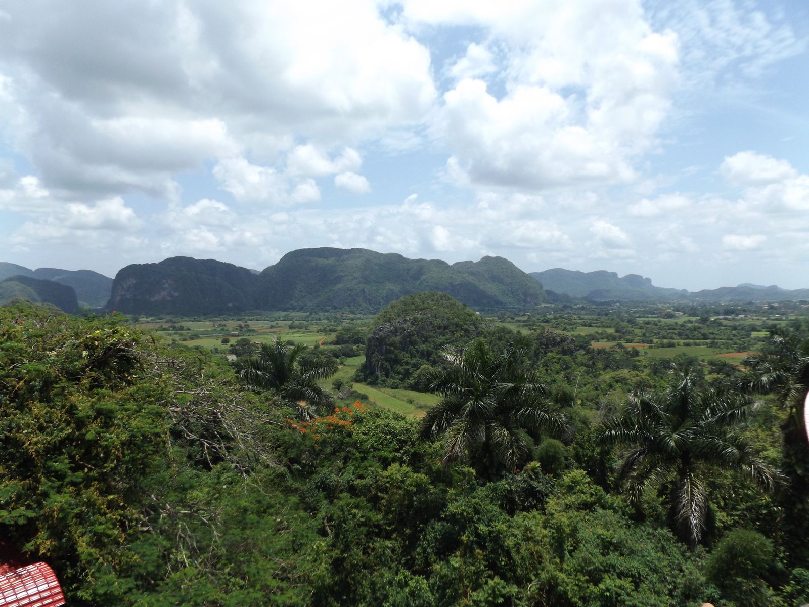 La vall de Viñales