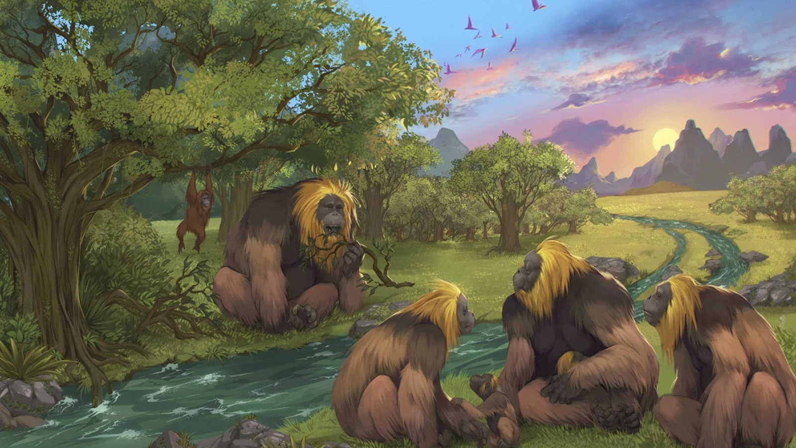 Il·lustració proporcionada per investigadors que recrea  un grup de simis de l'espècie 'Gigantopithecus blacki' en un bosc del sud de la Xina