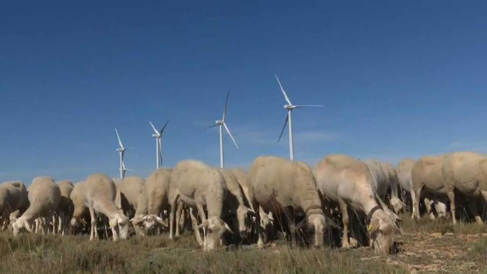 La construcció del parc eòlic està prevista a la província de Terol i afectaria les zones limítrofs amb aquesta comarca del nord de Castelló