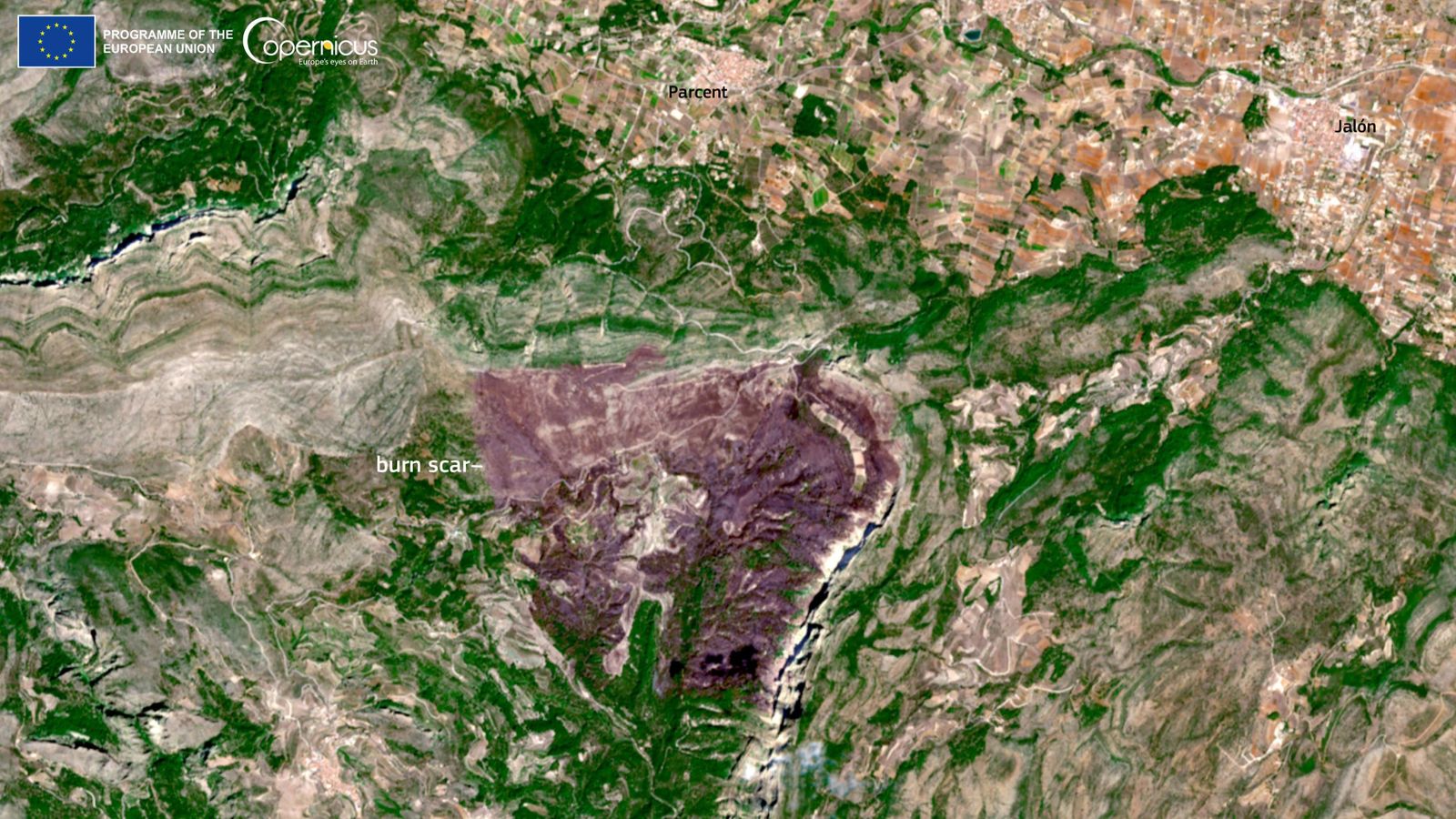 Terreny forestal afectat per l'incendi de Tàrbena