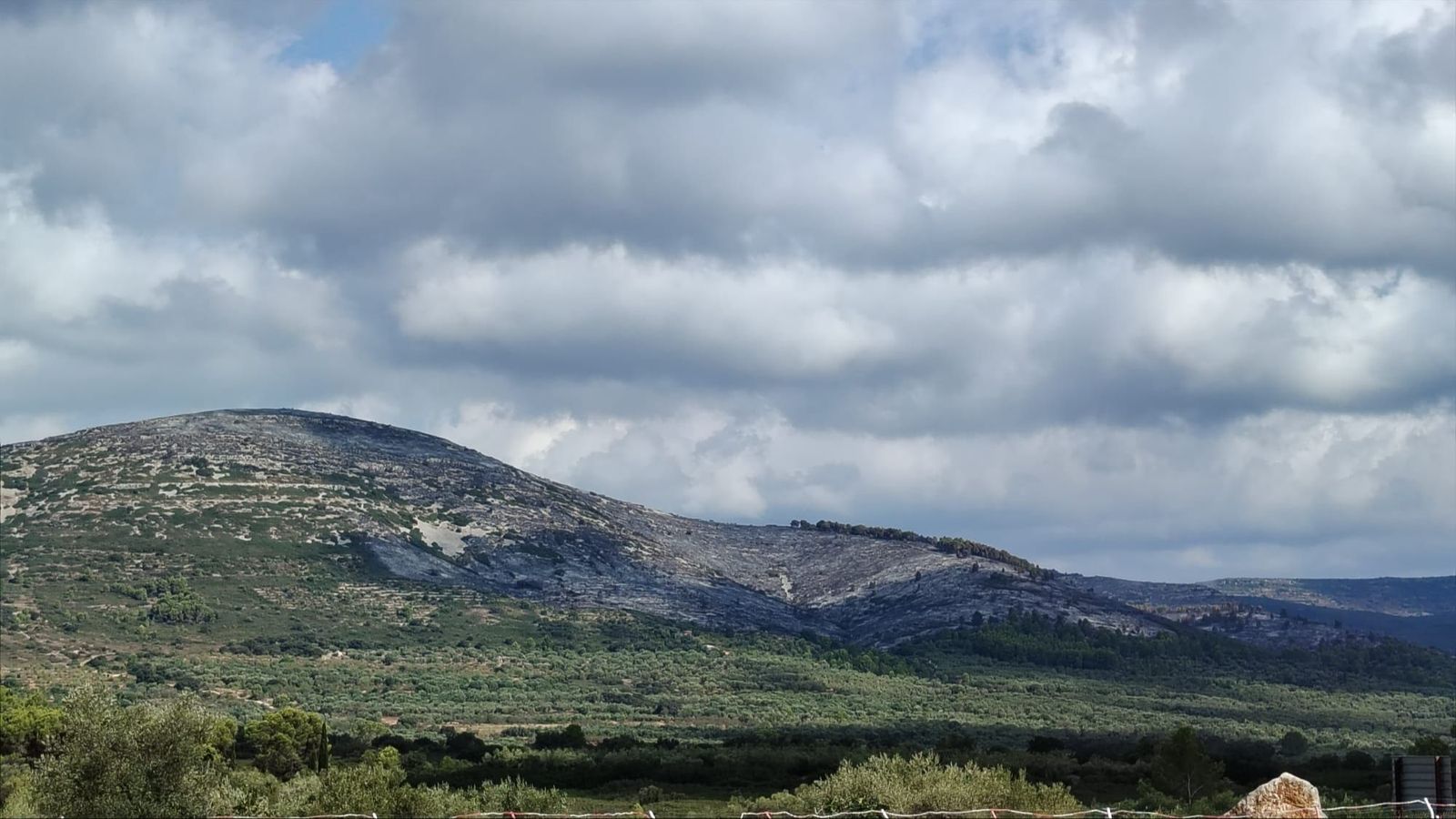 Superfície cremada per l'incendi de Tírig