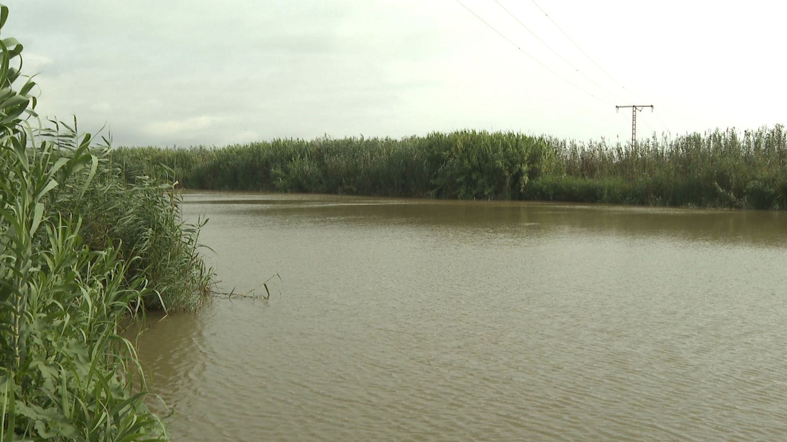 Els nivells d'aigua de referència de l'Albufera sota mínims